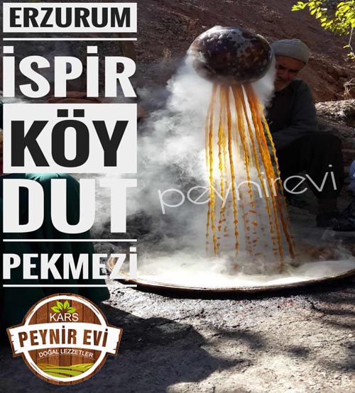 İspir Dut Pekmezi